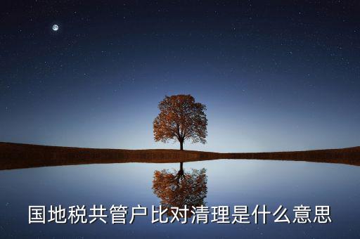 什么是國地稅共管，國稅地稅共管公司都需要每個月報稅嗎意思就是說我每個月地稅
