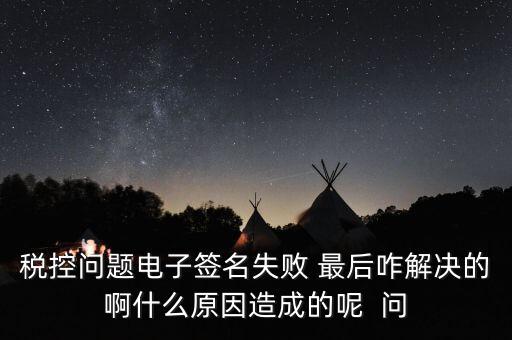什么是稅控簽名，報(bào)稅時(shí)數(shù)字簽名是甚么意思