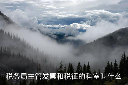 國稅稅務局都有什么科，稅務局主管發(fā)票和稅征的科室叫什么
