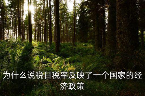 為什么說稅目稅率反映了一個國家的經濟政策
