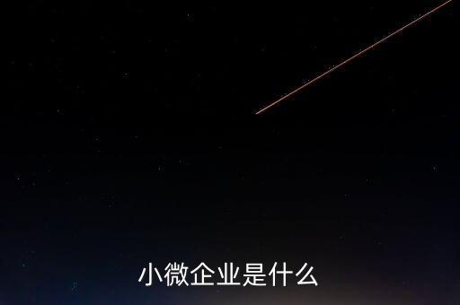 小微企業(yè)包括什么，小微企業(yè)是什么