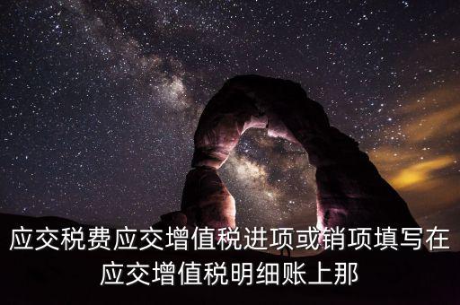 扣繳稅款登記填什么稅，在個人所得稅代扣代繳軟件中所要填寫的稅務(wù)登記號是填國稅的還是地