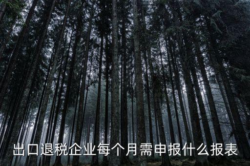 出口退稅每月需做什么申報，外貿(mào)企業(yè)第一次申報出口退稅需要準(zhǔn)備哪些資料