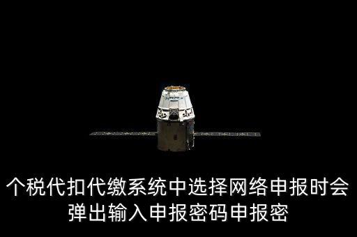 個(gè)稅申報(bào)密碼是什么意思，網(wǎng)上報(bào)稅 報(bào)稅密碼是什么