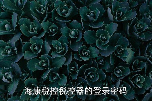 稅控盤 密碼是什么，?？刀惪囟惪仄鞯牡卿浢艽a