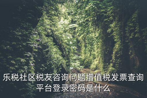 發(fā)票認證平臺登陸密碼是什么，國稅局發(fā)票軟件里用戶代碼和密碼是什么