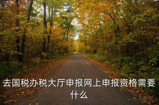 國稅網(wǎng)上申報用什么資料，去國稅辦稅大廳申報網(wǎng)上申報資格需要什么
