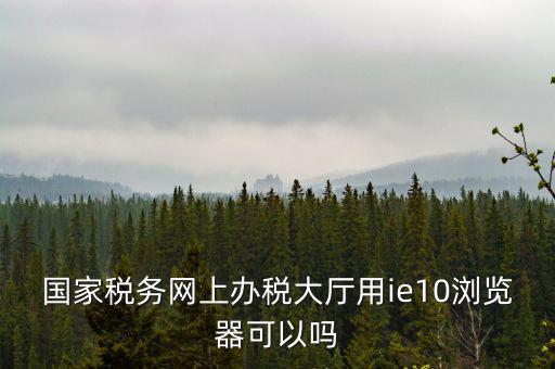 國稅網(wǎng)上申報用什么瀏覽器，山東國稅網(wǎng)上申報系統(tǒng)需要什么瀏覽器