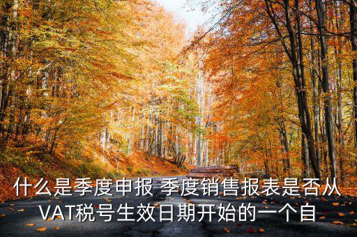 什么是季度申報(bào)表，有關(guān)企業(yè)申報(bào)的季度報(bào)表
