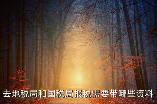 國(guó)稅報(bào)稅需要什么材料，去地稅局和國(guó)稅局報(bào)稅需要帶哪些資料