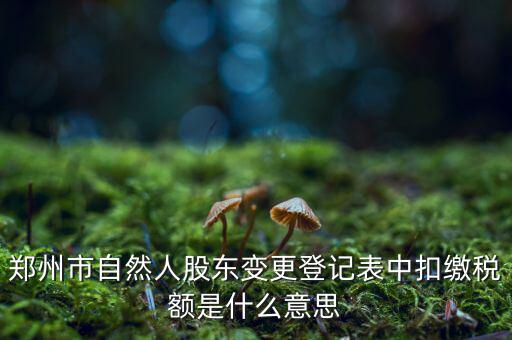 扣繳稅款登記是什么意思，應(yīng)當(dāng)按照稅收征管法等有關(guān)規(guī)定辦理扣繳稅款登記領(lǐng)取扣繳憑
