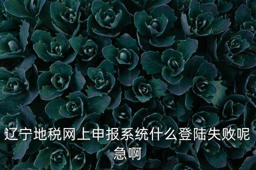 遼寧網(wǎng)上報(bào)稅為什么進(jìn)不去，遼寧地稅網(wǎng)上申報(bào)系統(tǒng)什么登陸失敗呢急啊
