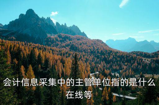主管征收機關(guān)填什么，會計信息采集中的主管單位指的是什么在線等