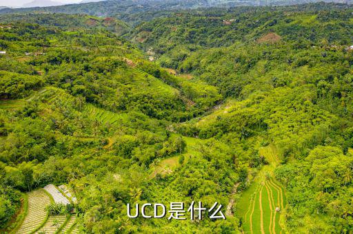 維簡費(fèi)是什么，擔(dān)保法中的孽息是什么