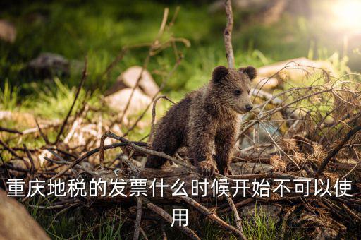 地稅運輸客票什么時候停用，地稅舊版本發(fā)票什么時候作廢