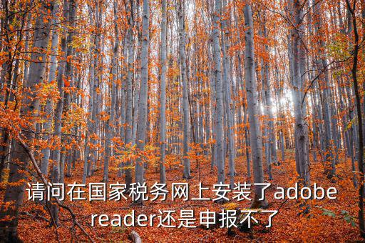 請(qǐng)問在國(guó)家稅務(wù)網(wǎng)上安裝了adobe reader還是申報(bào)不了