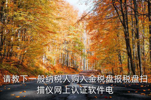 請教下一般納稅人購入金稅盤報(bào)稅盤掃描儀網(wǎng)上認(rèn)證軟件電