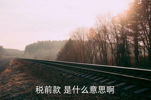 什么是稅前項目費，稅前款 是什么意思啊