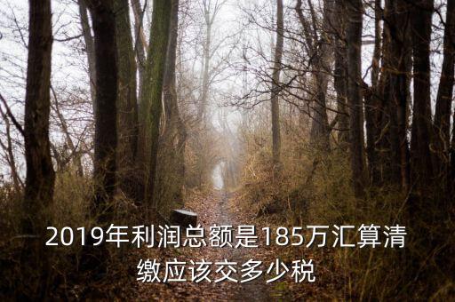 匯算清繳交什么稅，年度匯算清繳應(yīng)交稅率是多少