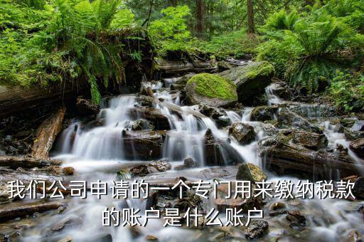 我們公司申請(qǐng)的一個(gè)專門用來繳納稅款的賬戶是什么賬戶