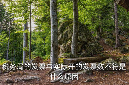 為什么發(fā)票和實物不符，發(fā)票內容和實際不符