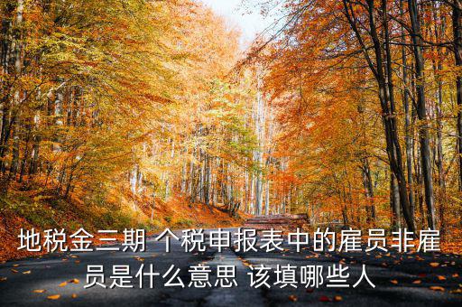 金稅四期是什么意思，地稅金三期 個稅申報表中的雇員非雇員是什么意思 該填哪些人
