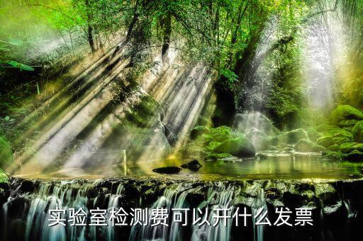體檢費(fèi)要開什么票，實(shí)驗(yàn)室檢測費(fèi)可以開什么發(fā)票