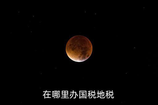 什么在地稅辦，在哪里辦國(guó)稅地稅