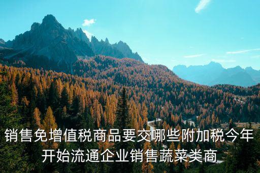 免稅商品銷售要交什么稅，銷售免增值稅商品要交哪些附加稅今年開始流通企業(yè)銷售蔬菜類商