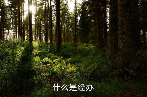 稅務(wù)文書經(jīng)辦是什么意思，什么是經(jīng)辦