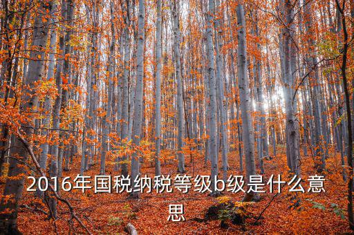 納稅信用等級評 什么用，企業(yè)納稅信用等級有何用處