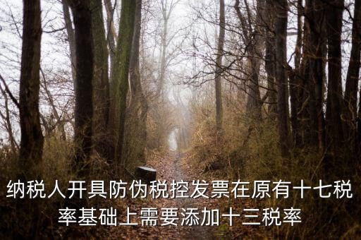 金稅卡加稅率有什么，金稅盤稅額問(wèn)題