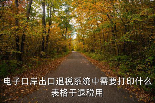 福建退稅備案的表格是什么樣的，出口退稅資格認(rèn)定表