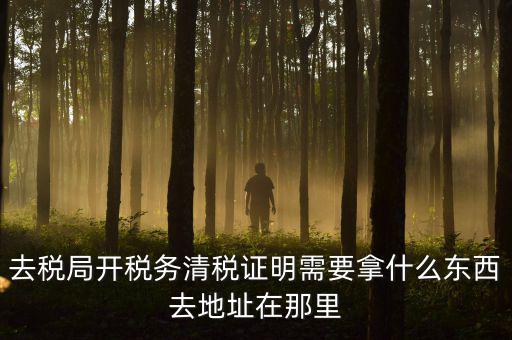 開(kāi)清稅證明需要帶什么材料，各位親誰(shuí)知道去國(guó)稅局開(kāi)清稅證明需要帶什么