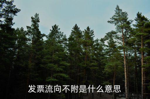 什么是流向票，發(fā)票流向不附是什么意思