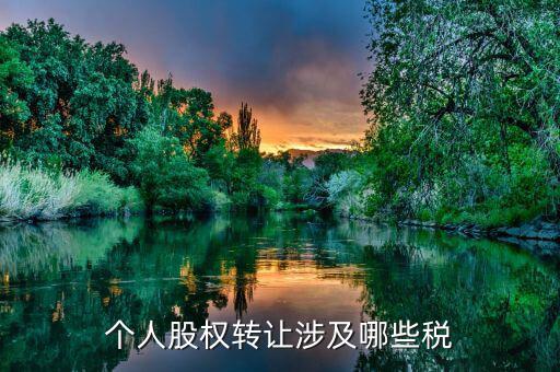 個人股權轉讓都涉及什么稅，法人股東股權轉讓分別涉及哪些稅種