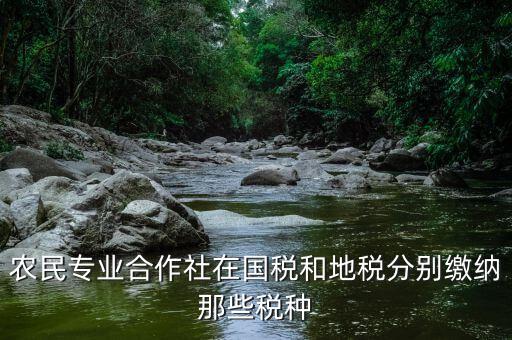 稅務(wù)局向合作社收取什么稅，農(nóng)民專業(yè)合作社在國(guó)稅和地稅分別繳納那些稅種