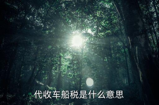 什么是代收車船稅，買保險(xiǎn)的時(shí)候代收車船稅是個(gè)什么標(biāo)準(zhǔn)