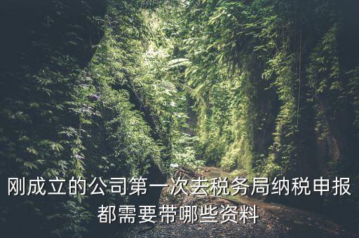 剛成立的公司第一次去稅務局納稅申報都需要帶哪些資料