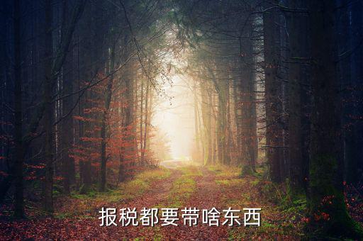 大連國稅局報稅帶什么東西，報稅都要帶啥東西