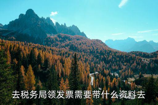 領(lǐng)定額發(fā)票需要帶什么，去稅務(wù)局領(lǐng)發(fā)票需要帶什么資料去