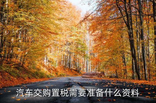 汽車交購(gòu)置稅需要準(zhǔn)備什么資料
