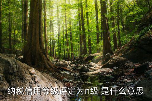 國(guó)稅信用級(jí)別是什么，納稅信用等級(jí)評(píng)定為n級(jí) 是什么意思