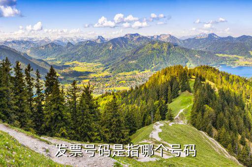 發(fā)票號段是什么意思，發(fā)票號碼是指哪個(gè)號碼