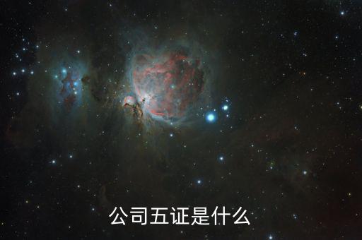 一般納稅人五證是什么意思，一般情況下公司的五證指得都是什么證