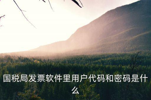 個(gè)稅用戶代碼是什么，國稅局發(fā)票軟件里用戶代碼和密碼是什么