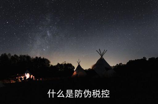 防偽稅控盤(pán)什么，什么是防偽稅控