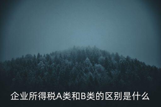 企業(yè)所得稅b類(lèi)是什么意思，企業(yè)所得稅A類(lèi)和B類(lèi)的區(qū)別是什么