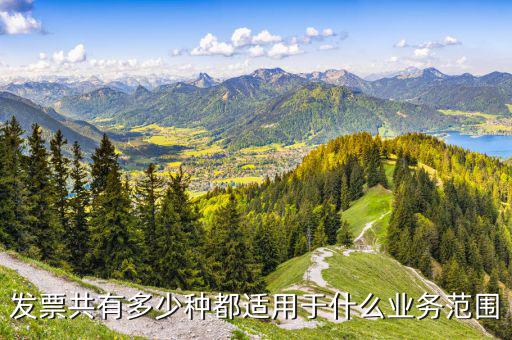 什么業(yè)務(wù)應(yīng)該專業(yè)發(fā)票，單位收費開票1定要專業(yè)的