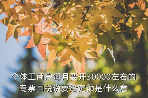 國(guó)稅定額是什么意思，個(gè)體工商戶每月要開(kāi)30000左右的專票國(guó)稅說(shuō)要給定額是什么意